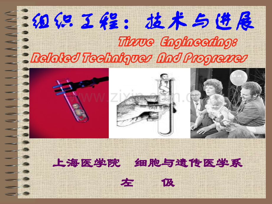 组织工程技术和进展.ppt_第1页