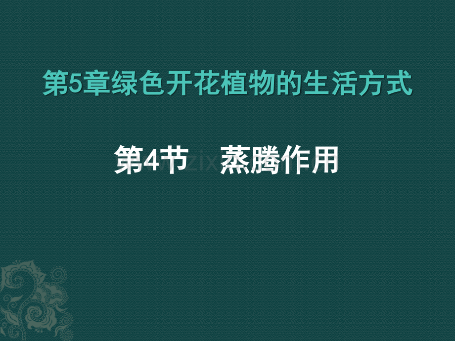 蒸腾作用上届已看.pptx_第1页