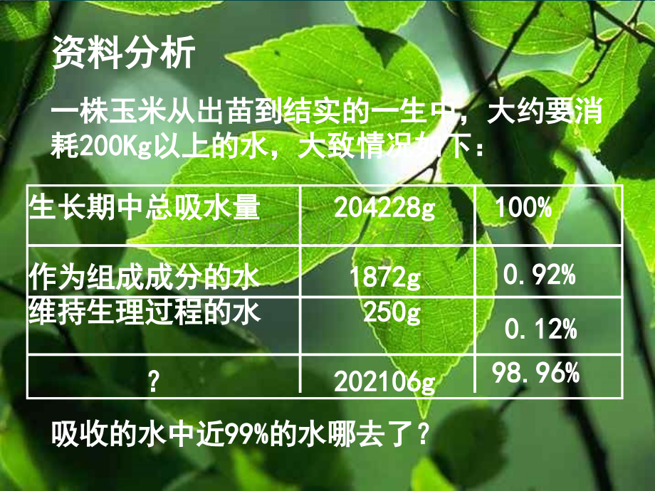 蒸腾作用上届已看.pptx_第2页