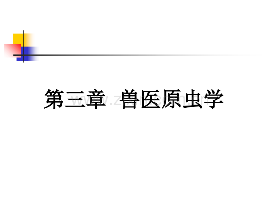 动物寄生虫病学-许金俊-第三章：原虫病.ppt_第1页