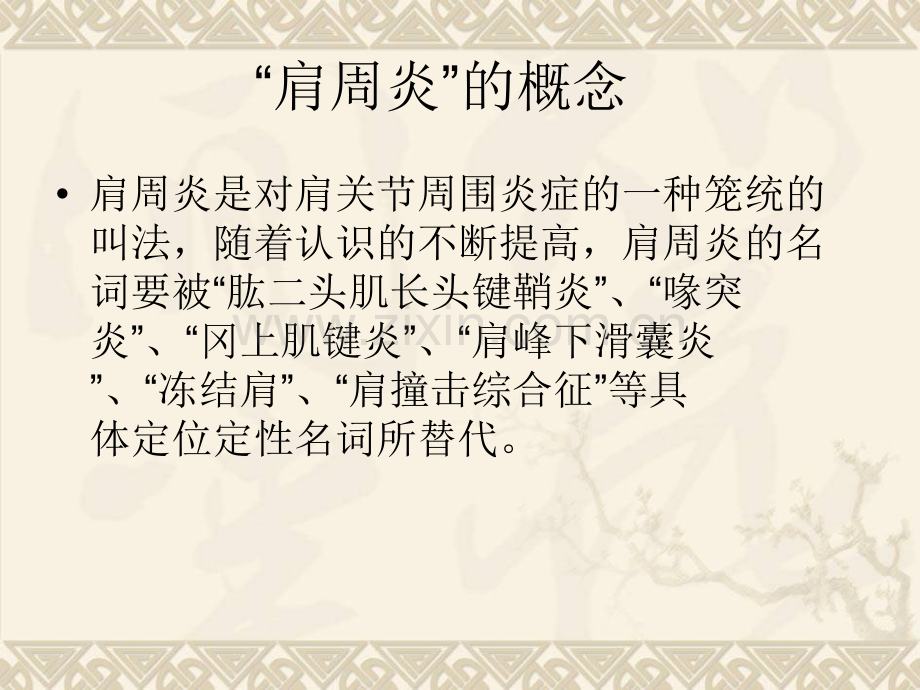 肩周炎发病机制(详细).ppt_第2页