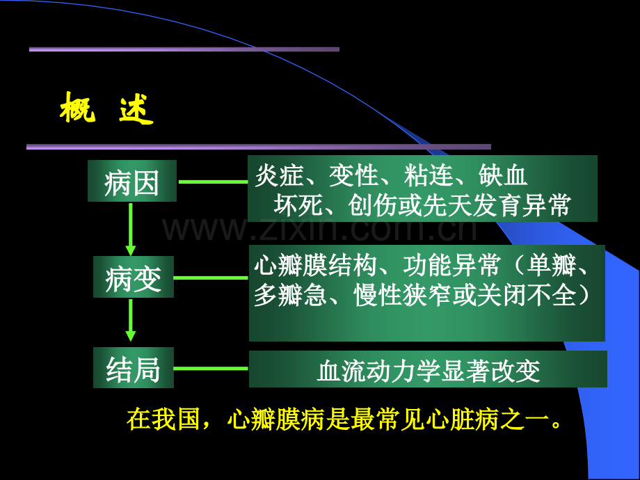 心脏瓣膜病感染性心内膜炎.ppt_第2页