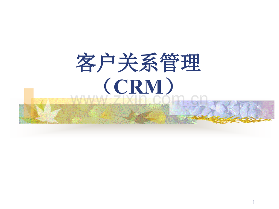 客户关系管理概述.ppt_第1页