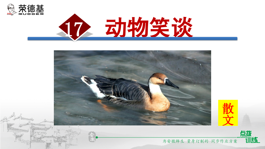 17.动物笑谈-.ppt_第1页