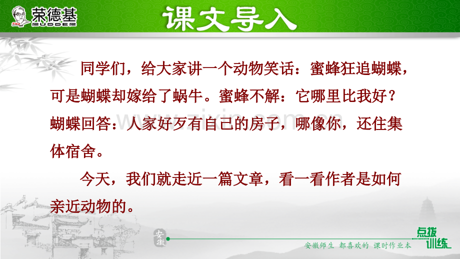 17.动物笑谈-.ppt_第2页