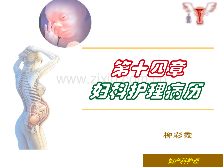 第十四章-妇科护理病历.ppt_第1页