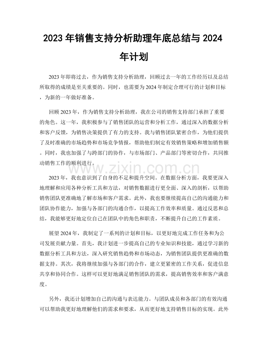 2023年销售支持分析助理年底总结与2024年计划.docx_第1页