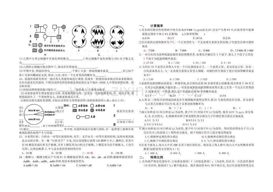 高中生物遗传系谱图专题训练.doc_第2页