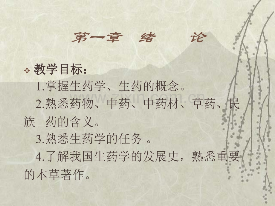 生药学绪论.ppt_第2页