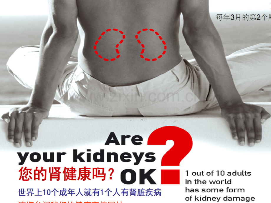 肾性贫血诊断与治疗（专家共识2014）及新进展.ppt_第2页