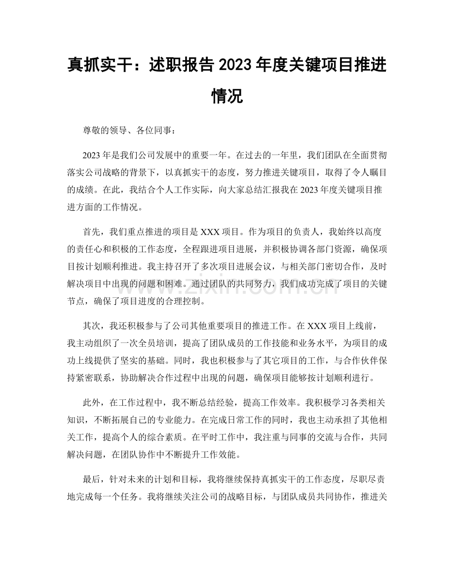 真抓实干：述职报告2023年度关键项目推进情况.docx_第1页