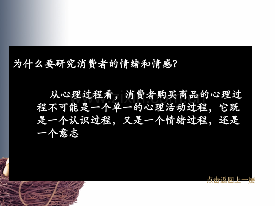 消费者心理活动的情感过程.ppt_第2页