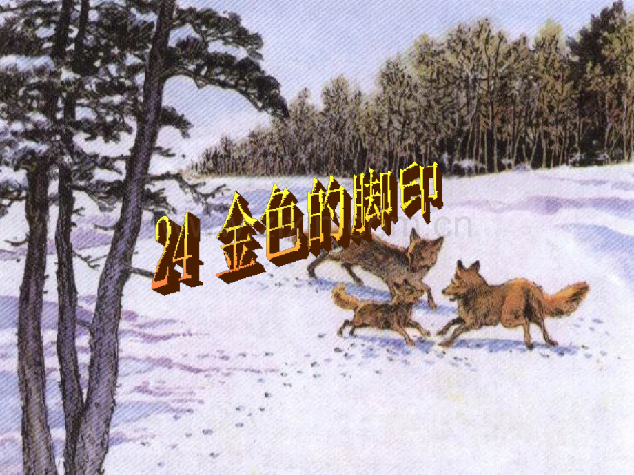 24金色的脚印1.ppt_第1页