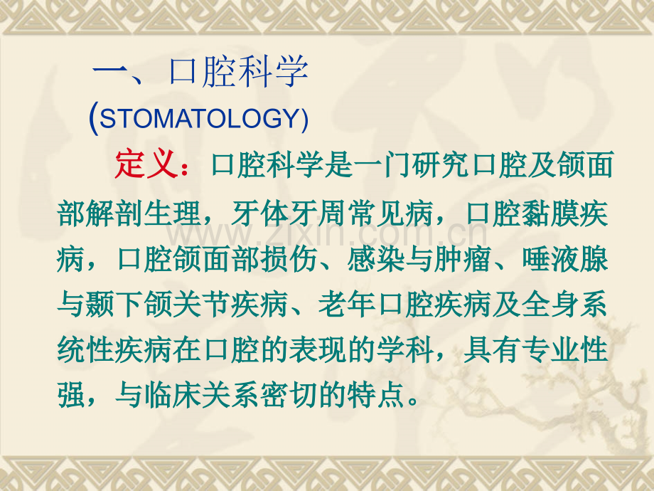 口腔颌面部的解剖生理.ppt_第2页