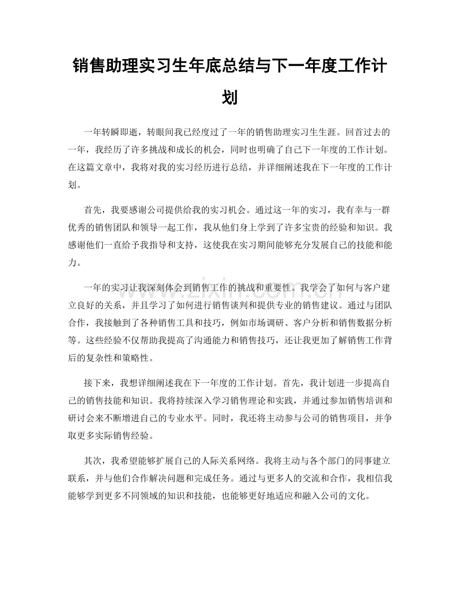 销售助理实习生年底总结与下一年度工作计划.docx_第1页