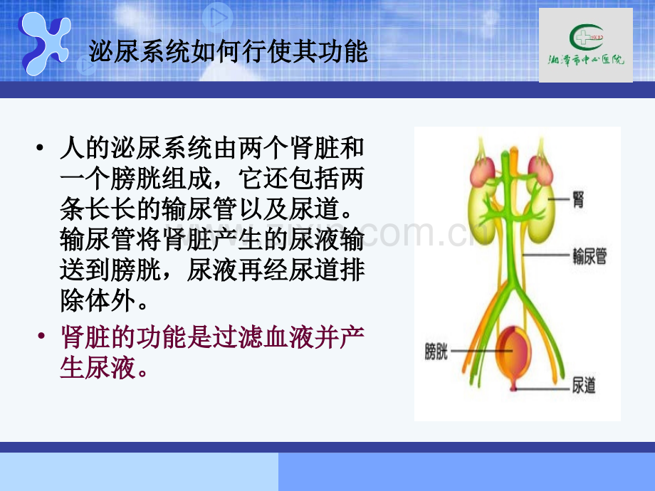 急性肾小球肾炎的护理.ppt_第2页