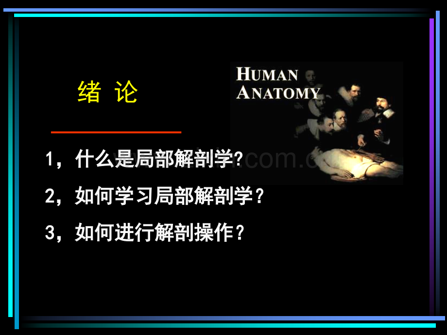 5年局解绪论和下肢-ty-201102.ppt_第2页