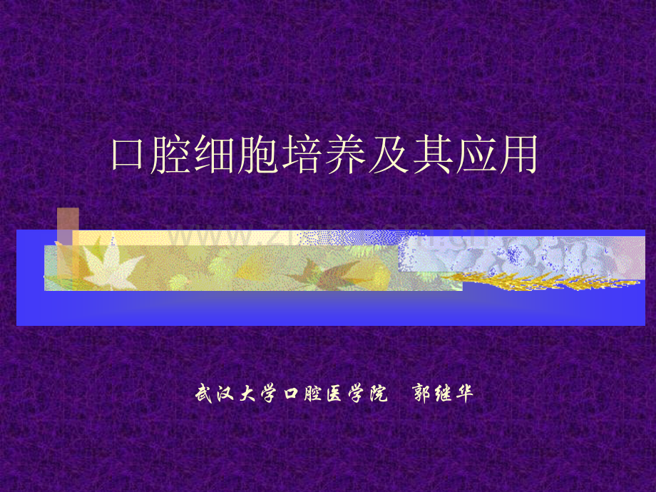 口腔细菌的培养及应用.ppt_第1页