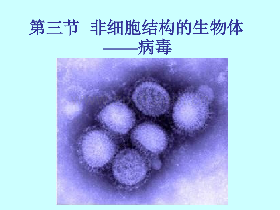 沪科版生物高中第一册3.3《非细胞结构的生物体——病毒》课件(共54张PPT).ppt_第2页