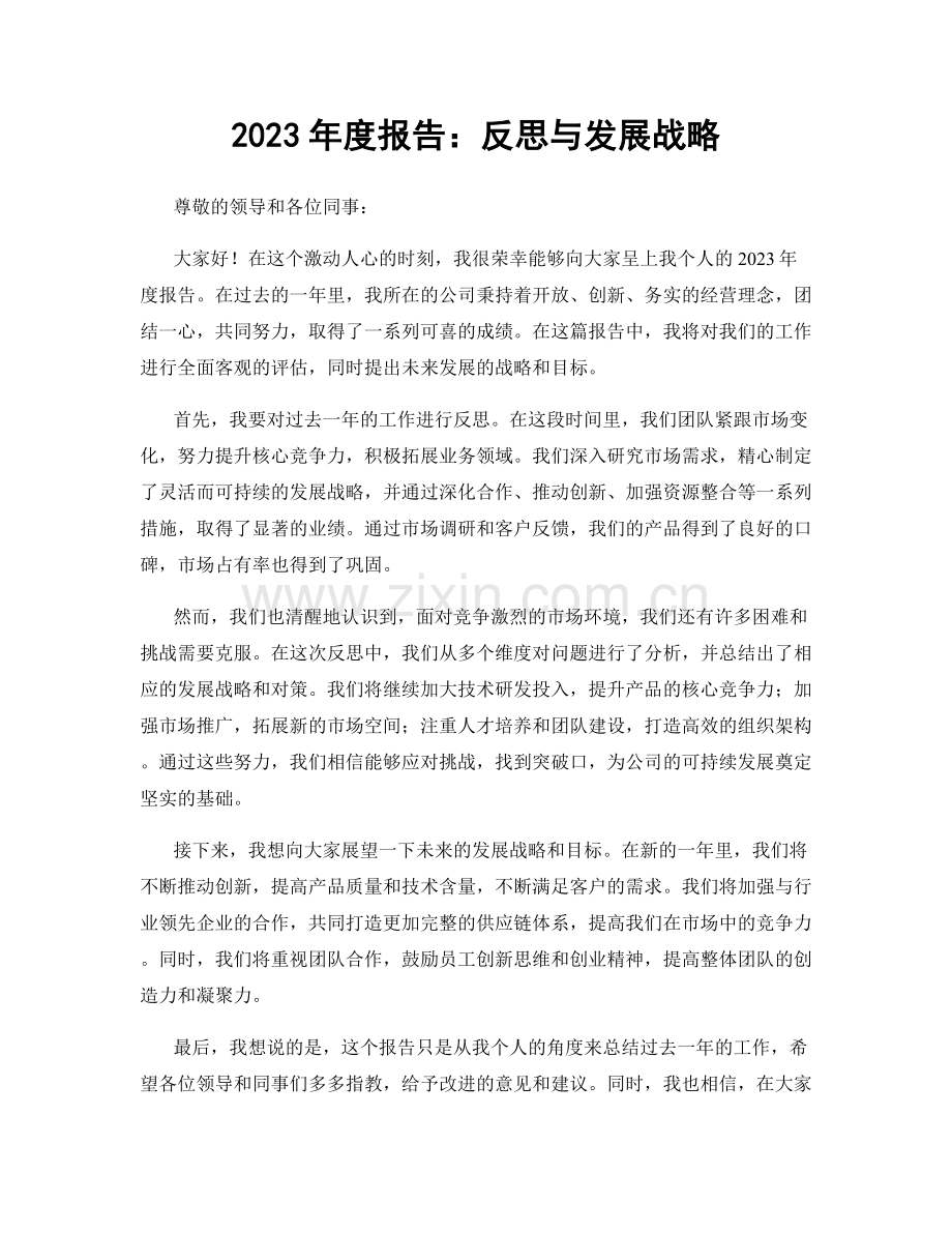 2023年度报告：反思与发展战略.docx_第1页
