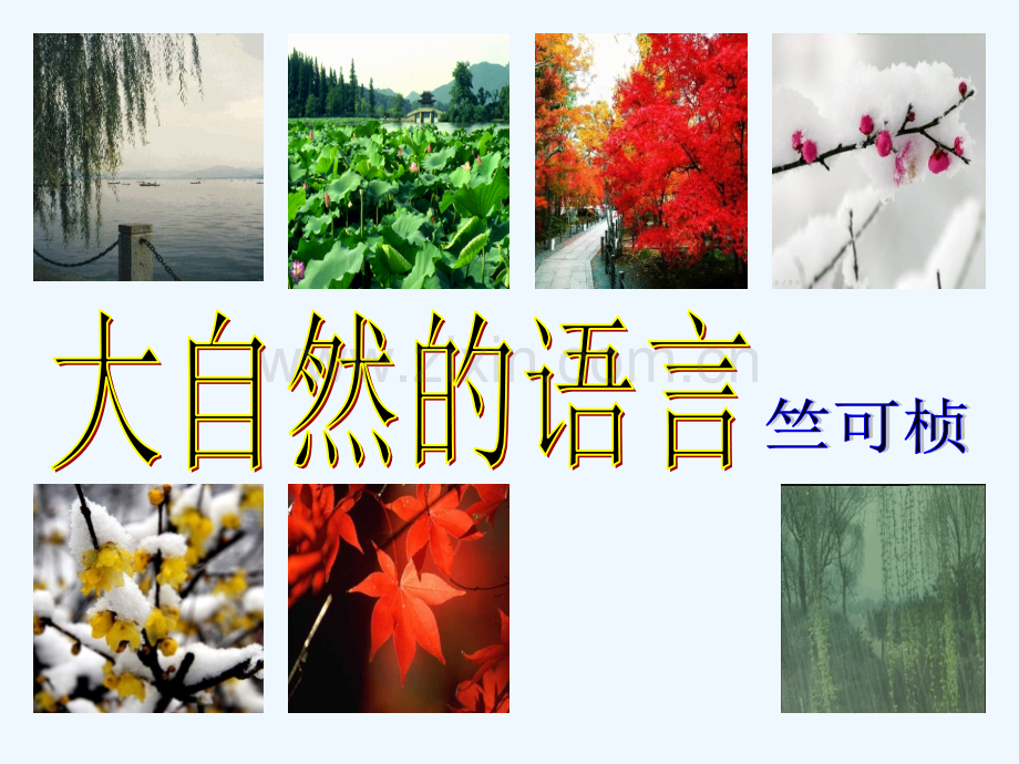 大自然的语言-PPT.ppt_第2页