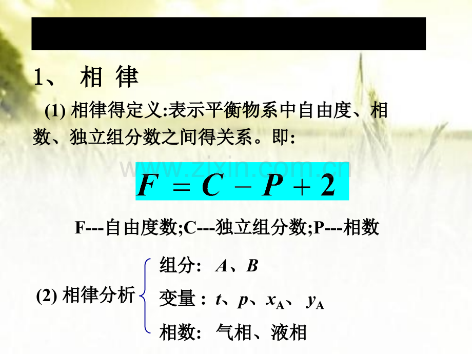 第二节两组分溶液的气液平衡.pptx_第2页