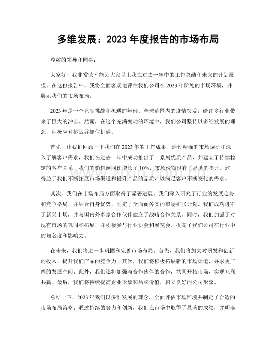 多维发展：2023年度报告的市场布局.docx_第1页