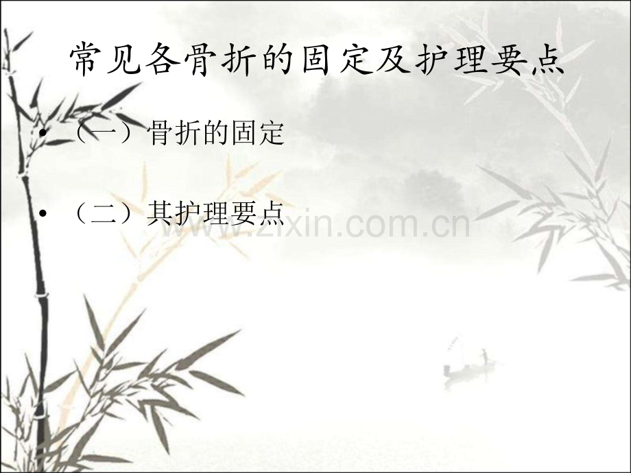 骨折固定及护理要点.pptx_第2页