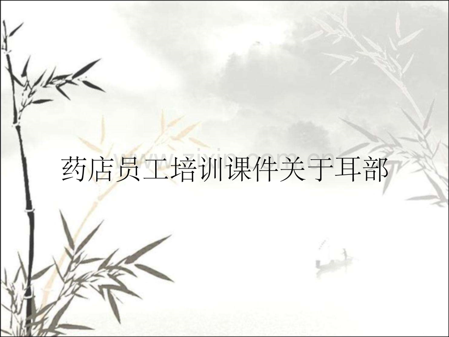 药店员工培训课件关于耳部.pptx_第1页