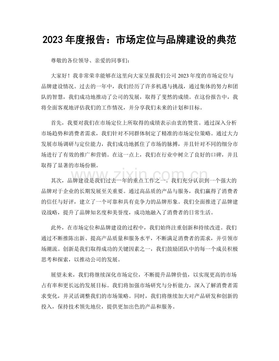 2023年度报告：市场定位与品牌建设的典范.docx_第1页