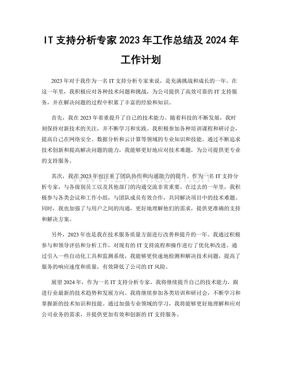 IT支持分析专家2023年工作总结及2024年工作计划.docx_第1页