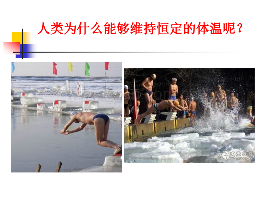 2016诊断学-发热.ppt_第2页
