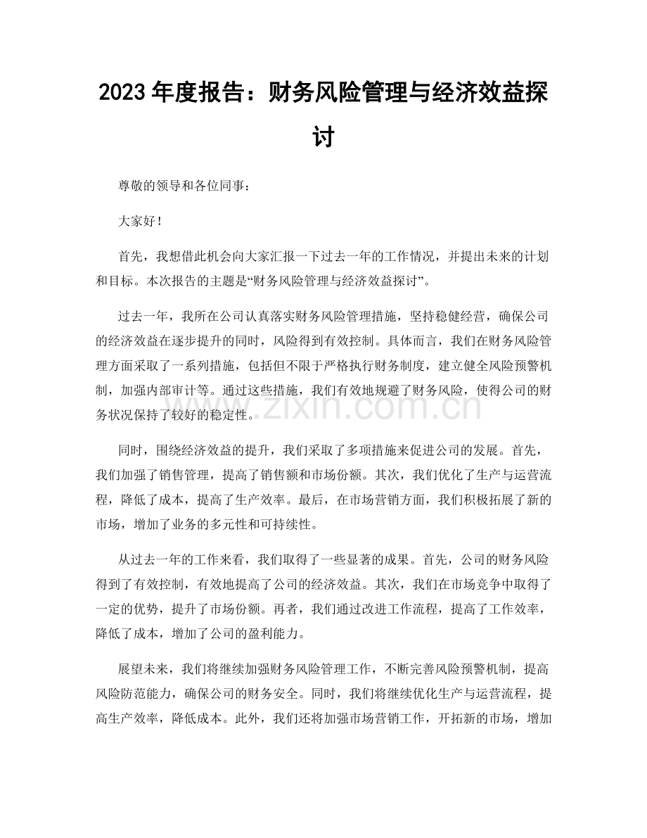 2023年度报告：财务风险管理与经济效益探讨.docx_第1页