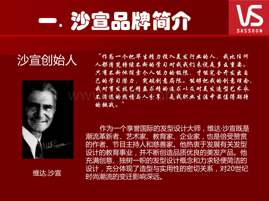 沙宣品牌传播策略.ppt_第2页