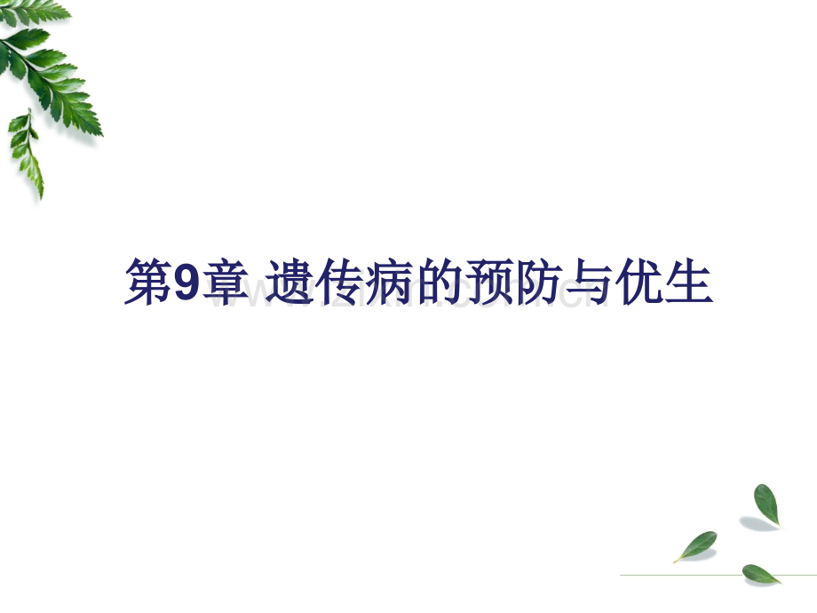 第9章-遗传病的预防与优生.ppt_第1页