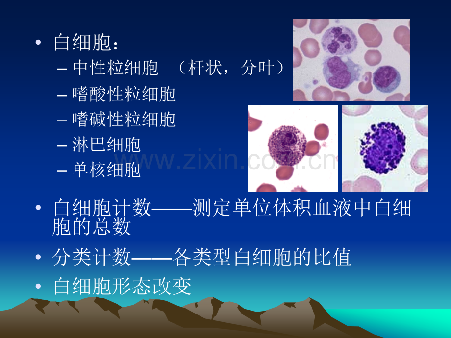 白细胞计数与分类.ppt_第2页