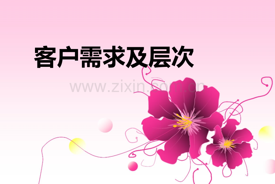 客户需求及层次.ppt_第1页