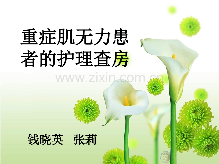 重症肌无力患者的护理查房.ppt_第1页