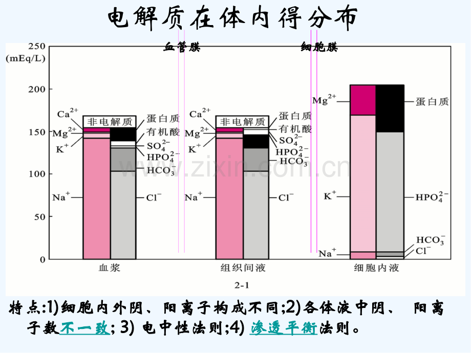 高钾血症对心肌的影响及治疗-PPT.pptx_第2页