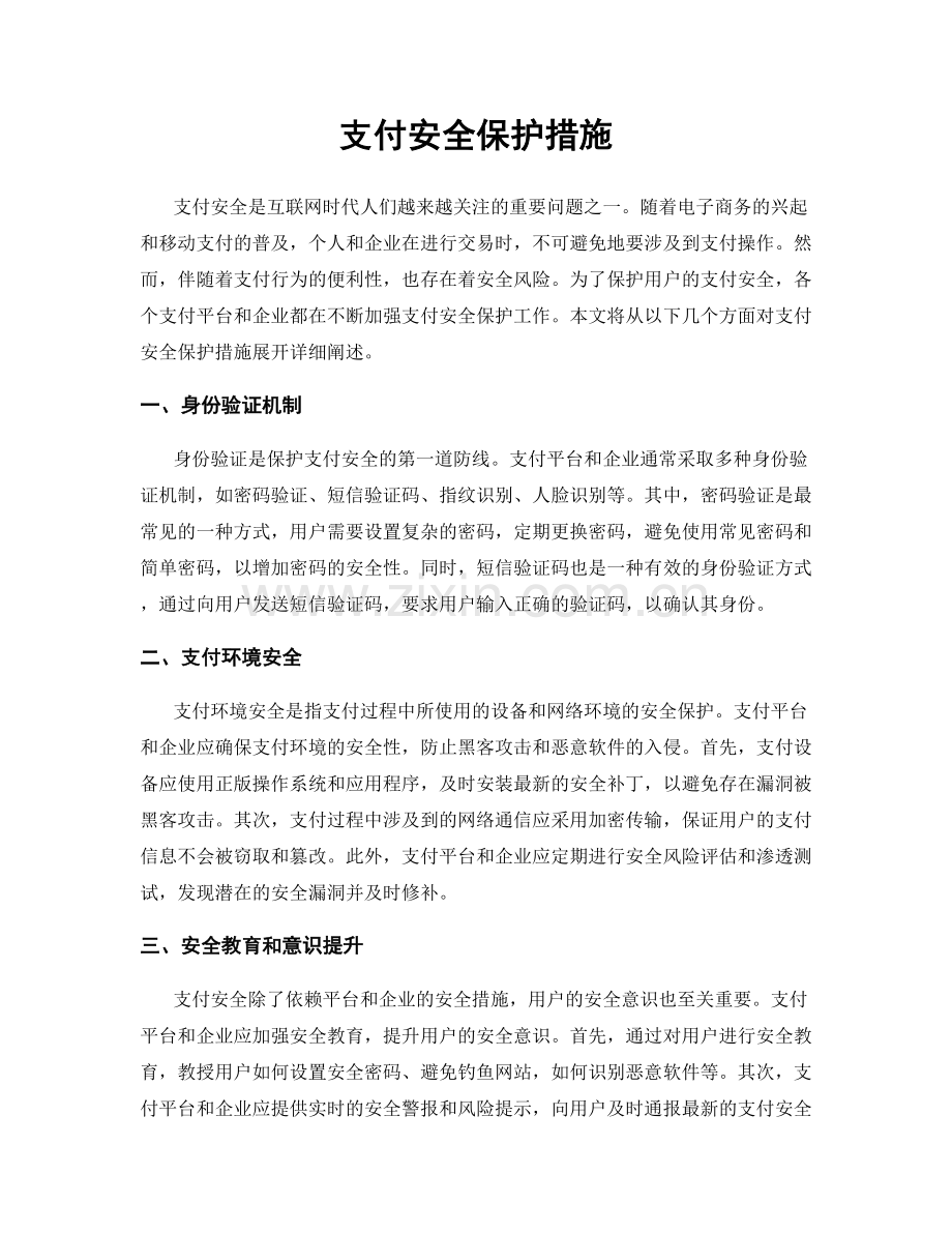 支付安全保护措施.docx_第1页