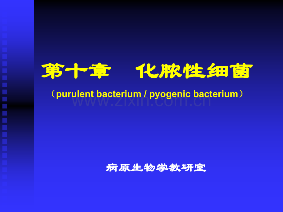 化脓性细菌.ppt_第2页