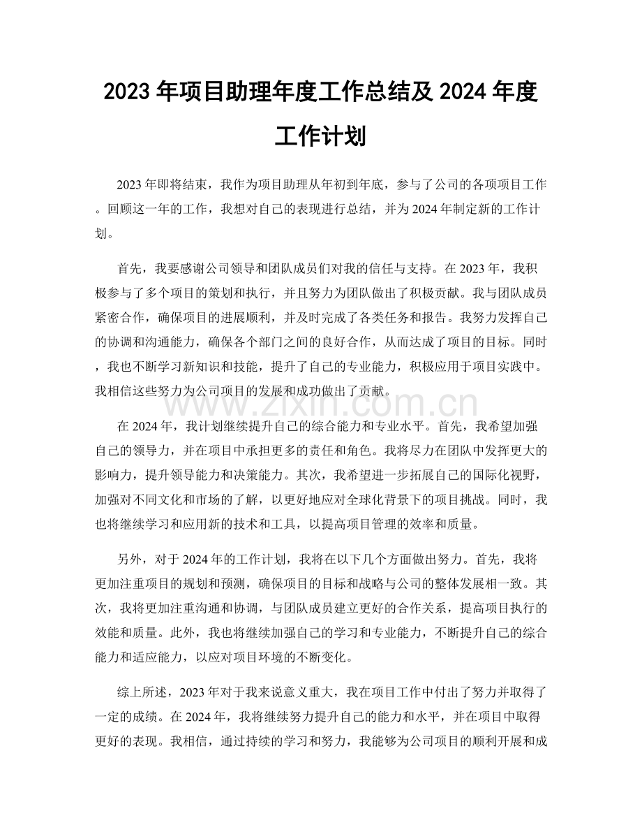 2023年项目助理年度工作总结及2024年度工作计划.docx_第1页