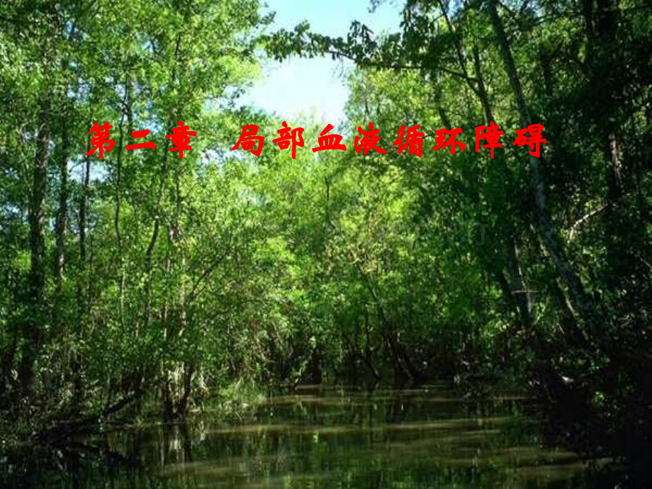 病理学第三章局部循环.ppt_第1页