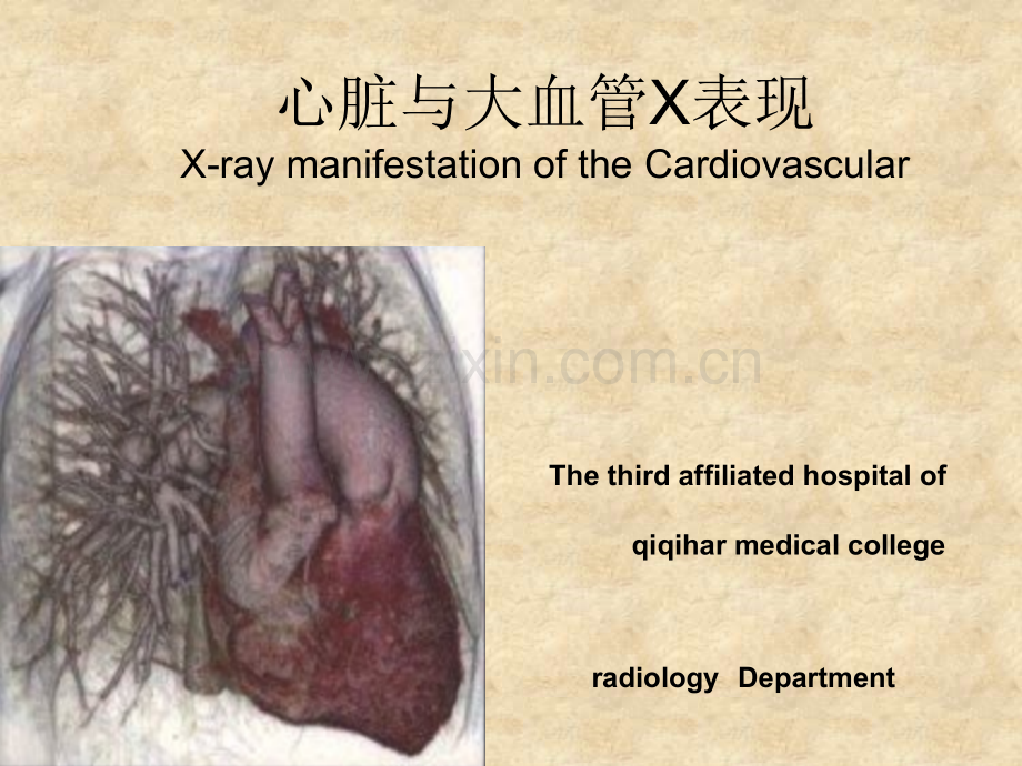 心脏试讲.ppt_第1页