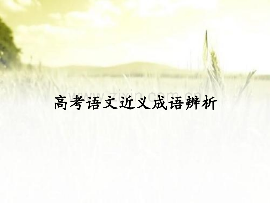 高考语文近义成语辨析.pptx_第1页