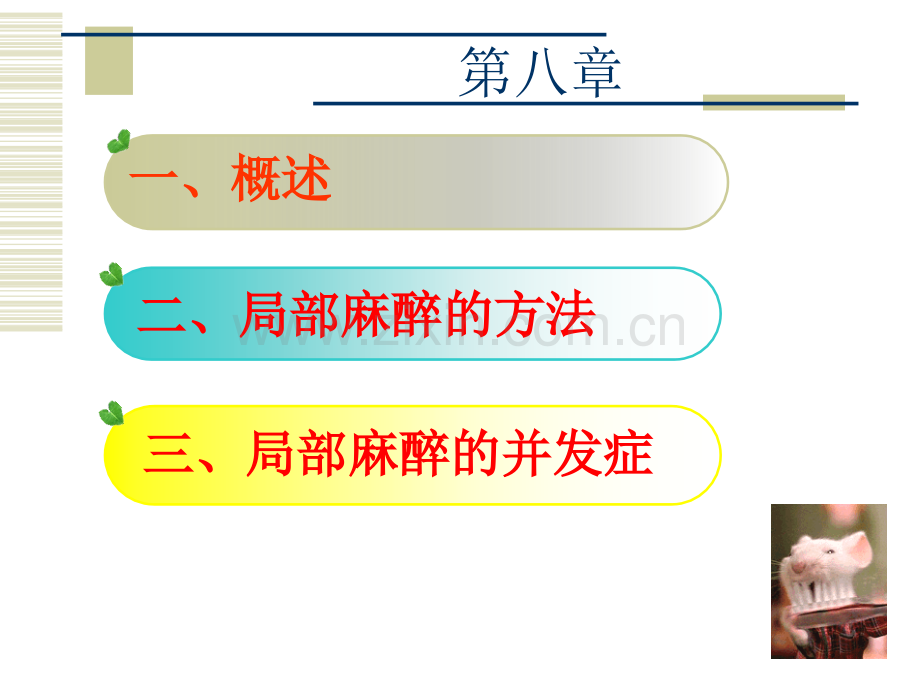口腔局部麻醉.ppt_第2页