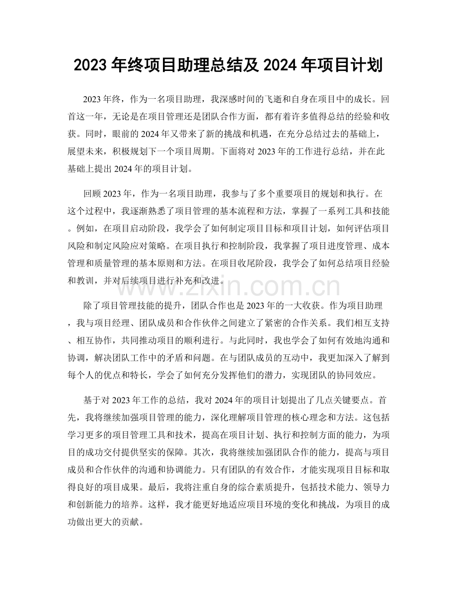 2023年终项目助理总结及2024年项目计划.docx_第1页