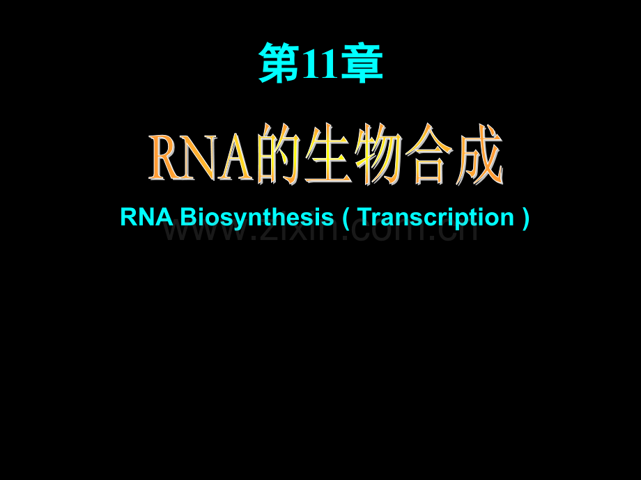 生物化学：RNA的生物合成.ppt_第1页