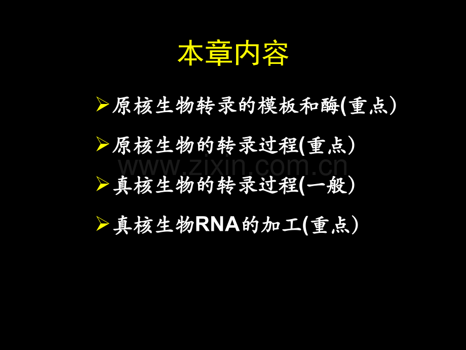 生物化学：RNA的生物合成.ppt_第2页