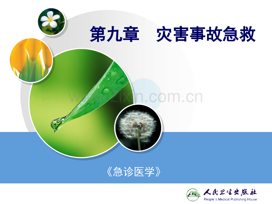 急诊医学课件9第九章灾害事故急救.ppt_第1页